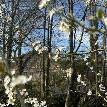 Le Domaine De La Bergerie Bed & Breakfast
