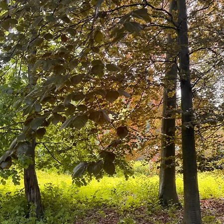 Le Domaine De La Bergerie 3* Lapugnoy