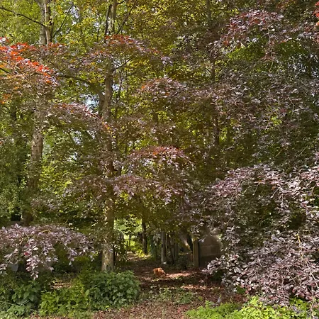 Le Domaine De La Bergerie 3* Lapugnoy