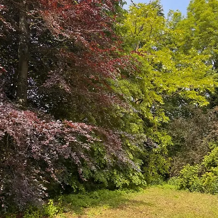Le Domaine De La Bergerie Bed & Breakfast 3*