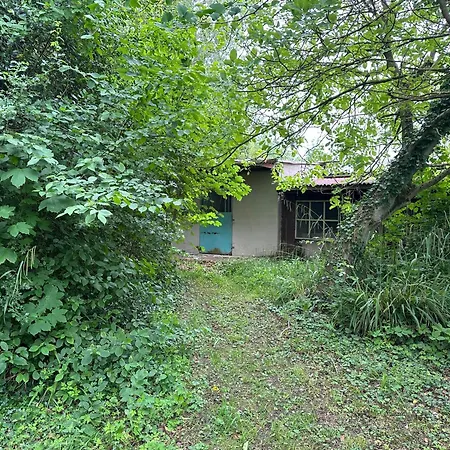 Le Domaine De La Bergerie 3*
