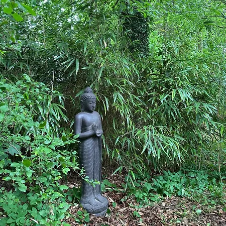 Le Domaine De La Bergerie Lapugnoy